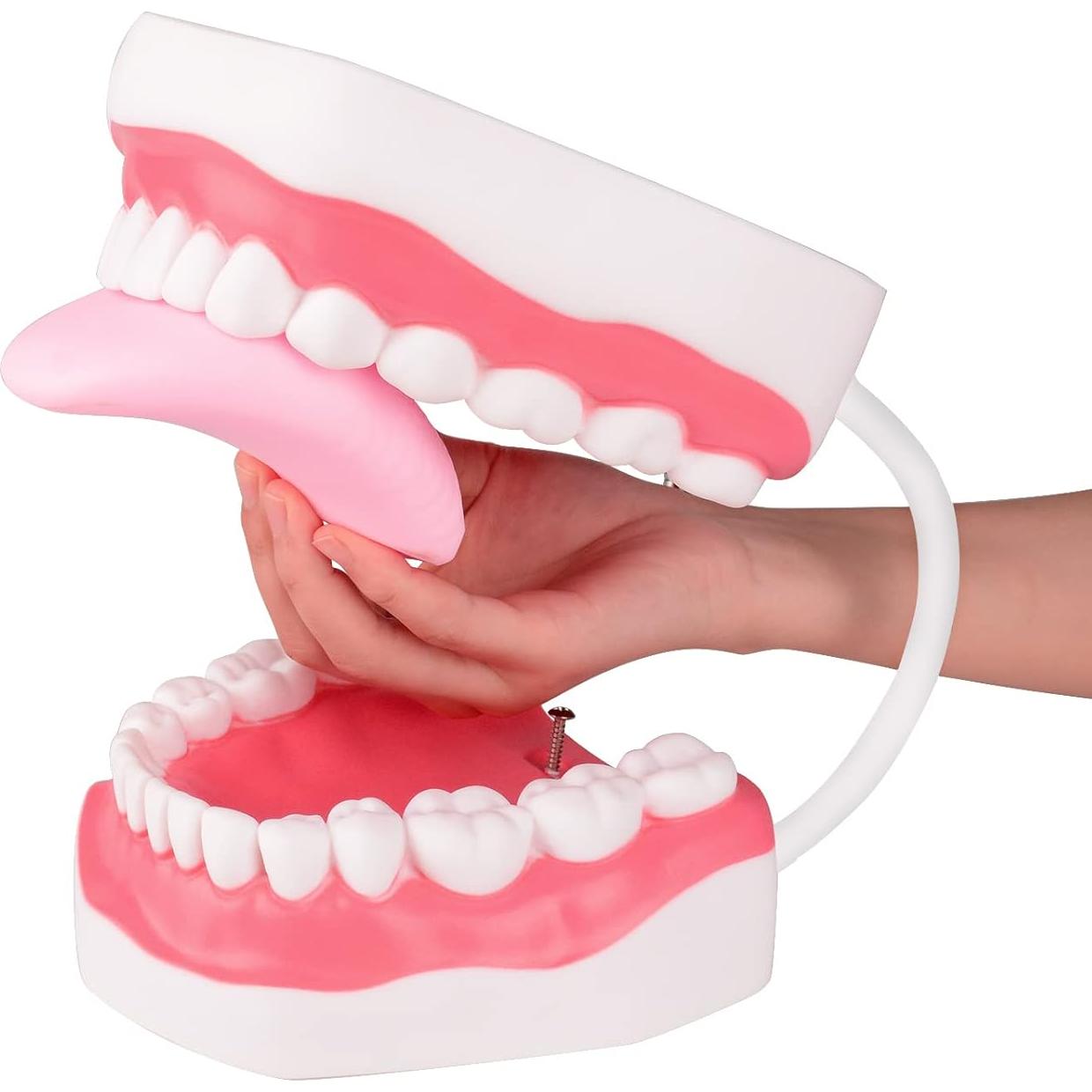 Modelo de Boca Ultrassist Blanco con Bisagra 6x para Niños