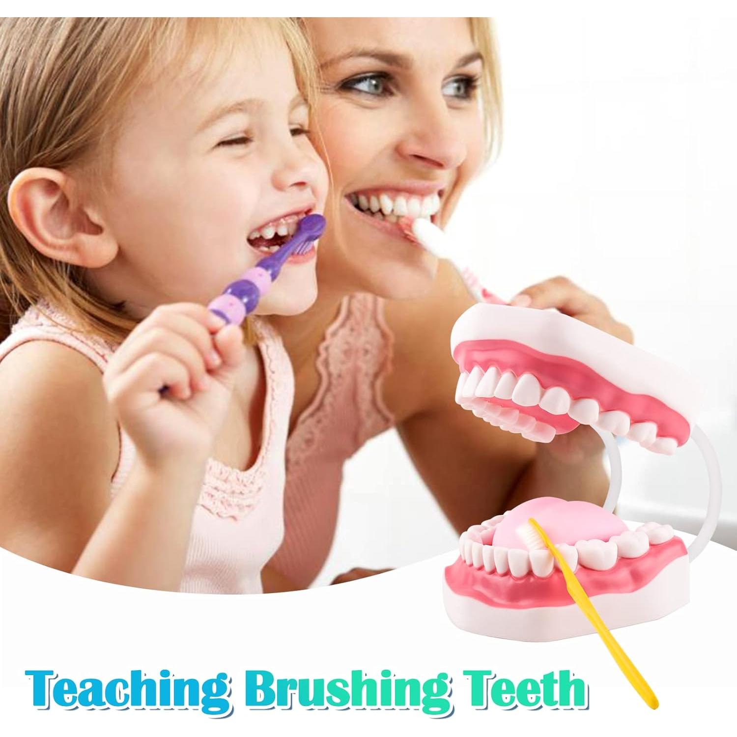 Modelo de Boca Ultrassist Blanco con Bisagra 6x para Niños