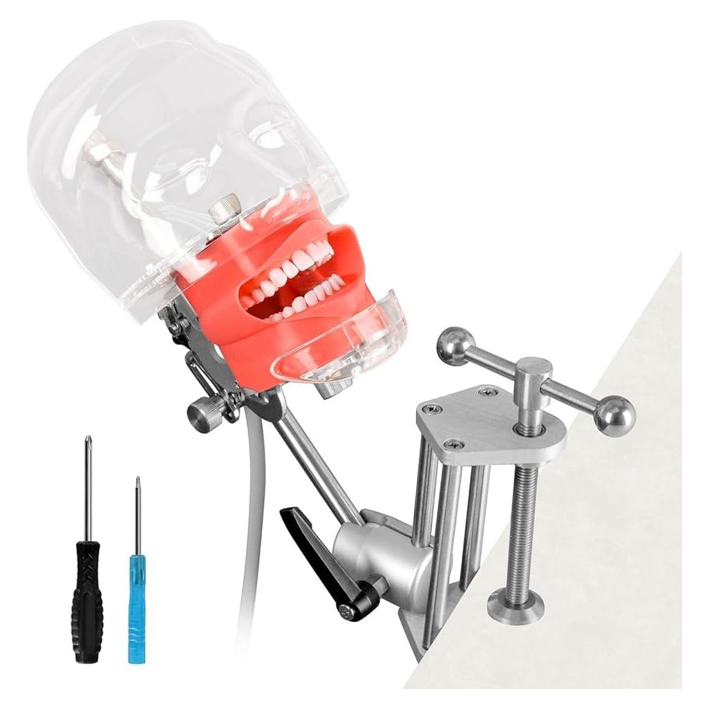 Cabeza de Maniquí Dental Ultrassist Typodont 32 Dientes