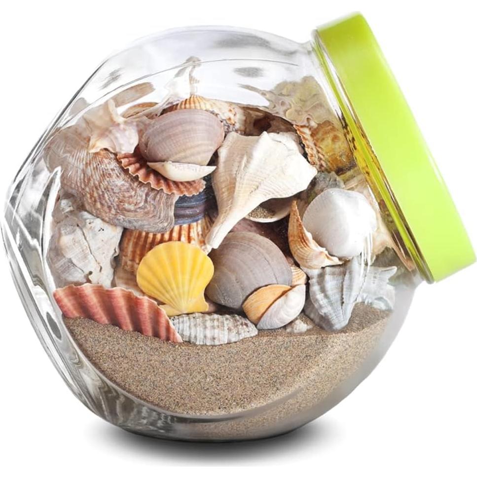 Arena Desértica Mosser Lee 3.18 kg para Decoración de Plantas