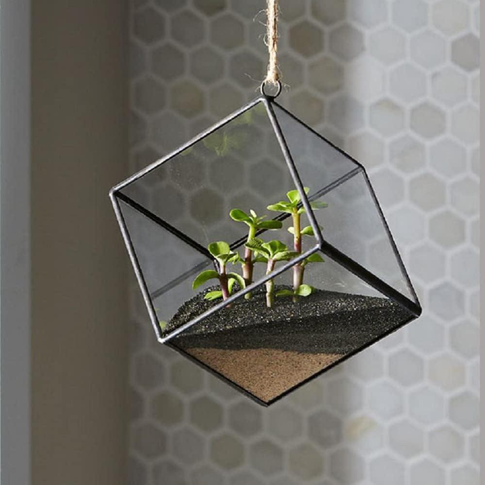 Arena Desértica Mosser Lee 3.18 kg para Decoración de Plantas