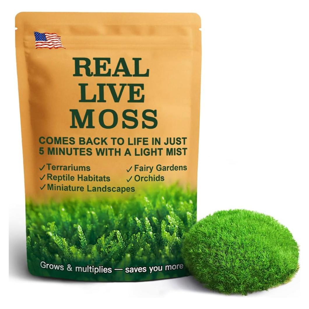 Musgo Vivo Natural LUCKYRUNES - Paquete de 3 Hojas 8.9x17.8cm