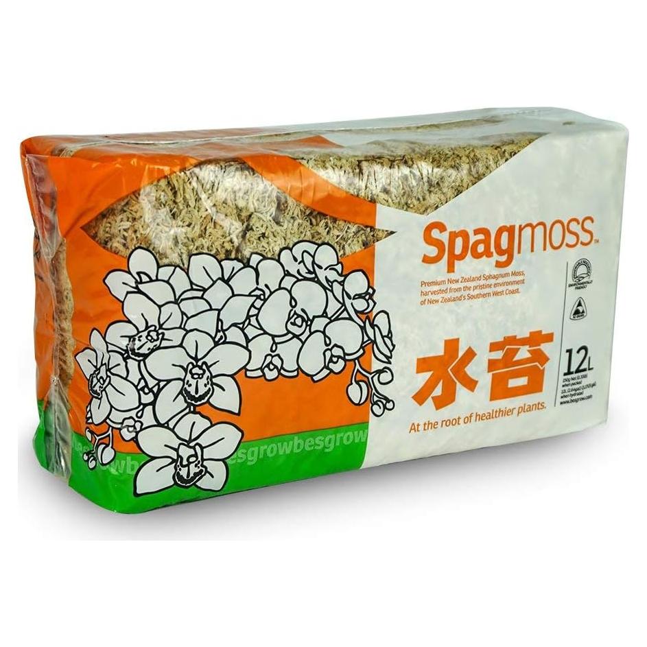 Musgo Sphagnum Premium Besgrow 150g - Ideal para Orquídeas