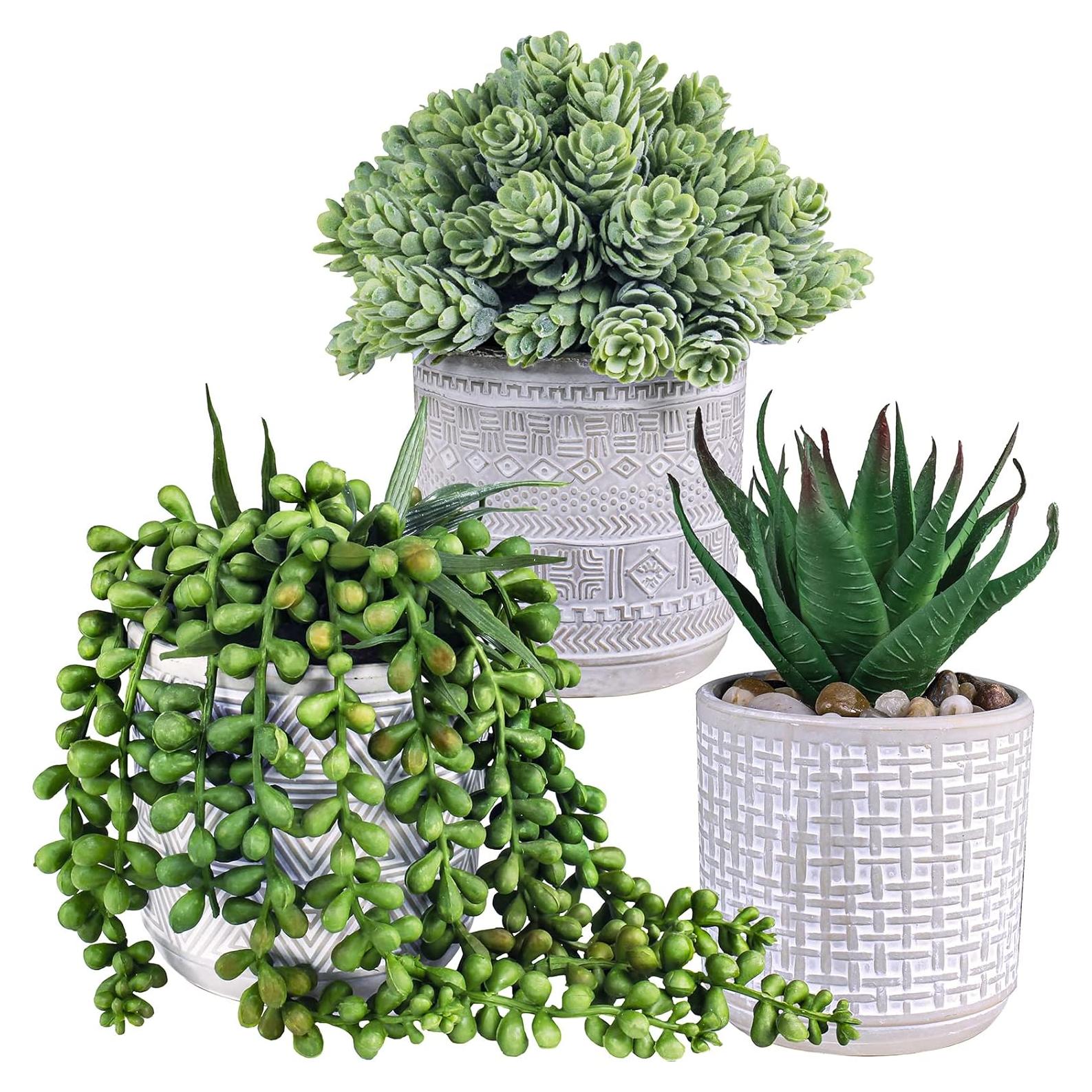 Juego de 3 Suculentas Artificiales Winlyn en Macetas de Concreto