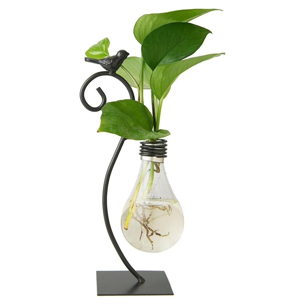 Jarrón de vidrio Marbrasse para hidroponía con soporte de pájaro
