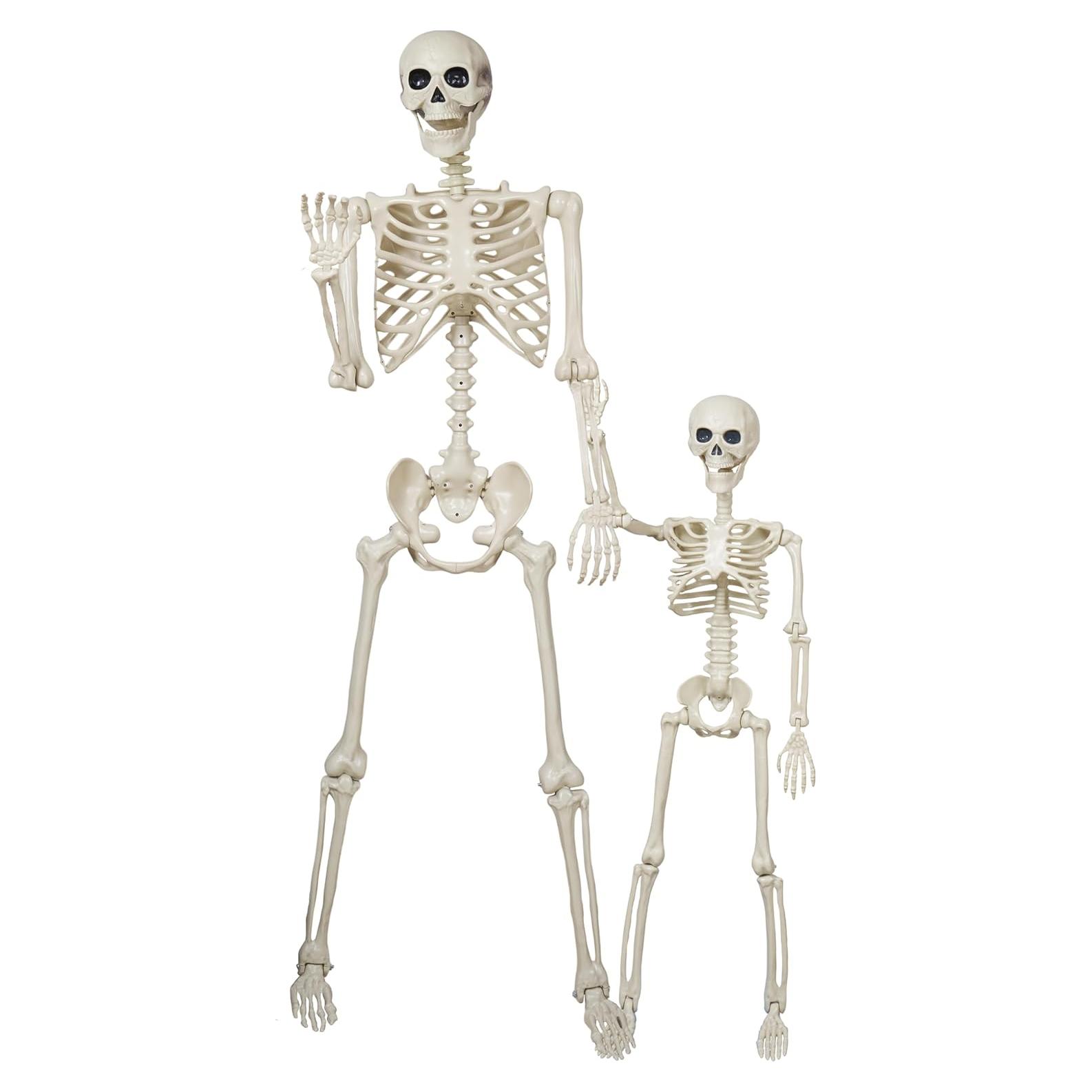 Esqueleto Halloween Breesky 1.64 m y 0.91 m articulado