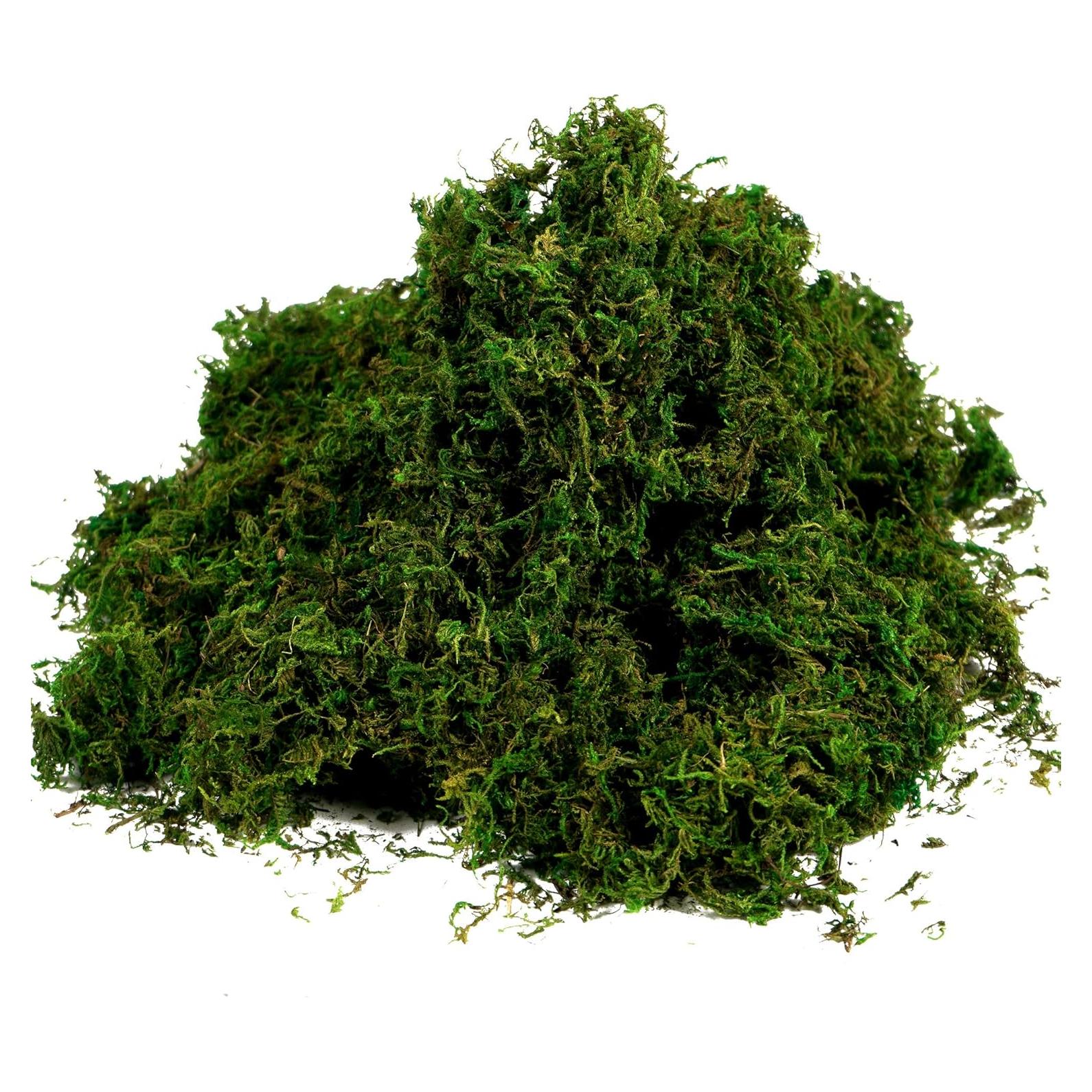 Musgo Artificial BYHER 100g Verde Fresco para Decoración
