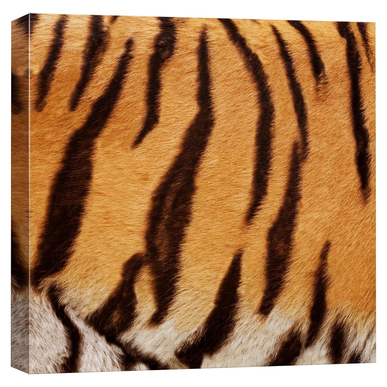 Cuadro en Lienzo Wall26 Patrón de Tigre 30.48x30.48cm