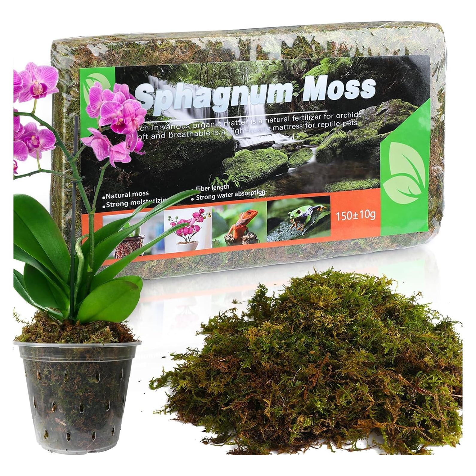 Musgo Sphagnum Seco Natural Doter 1 Paquete 5 qt