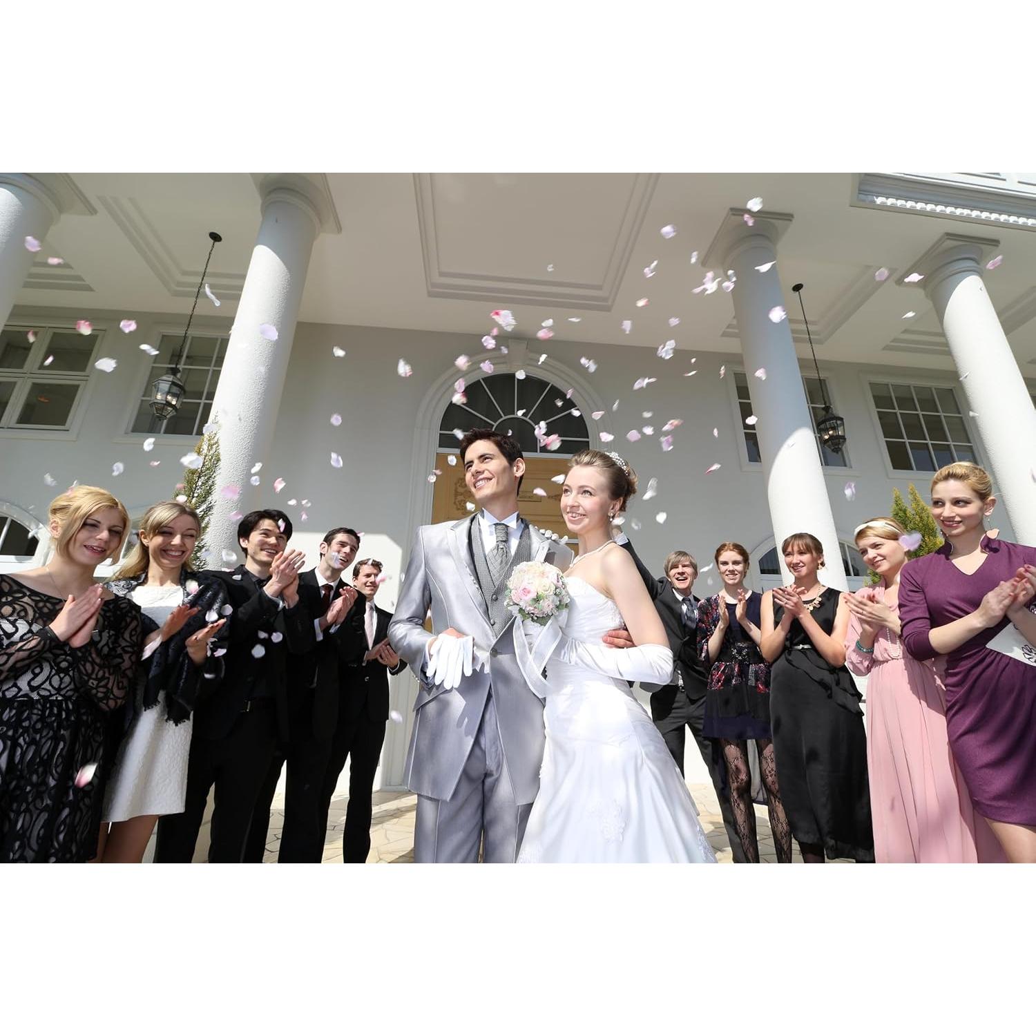 Lente Canon EF-S 10-18mm f/4.5-5.6 IS STM Ultra Gran Angular