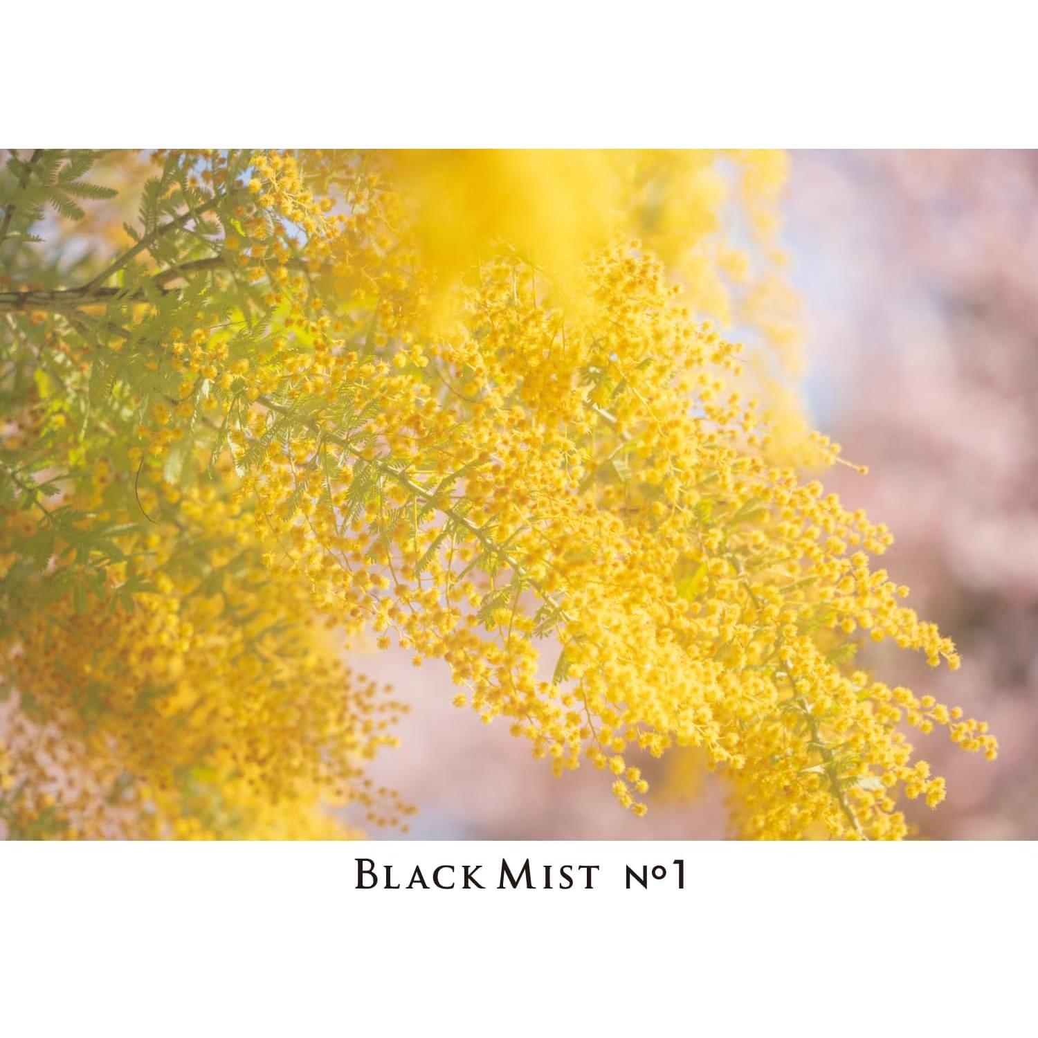 Filtro de Efecto Suave Kenko Black Mist No.1 62mm - Hecho en Japón