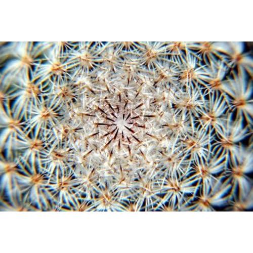 Filtro Macro Close Up 10x Vivitar para Nikon 80-400mm