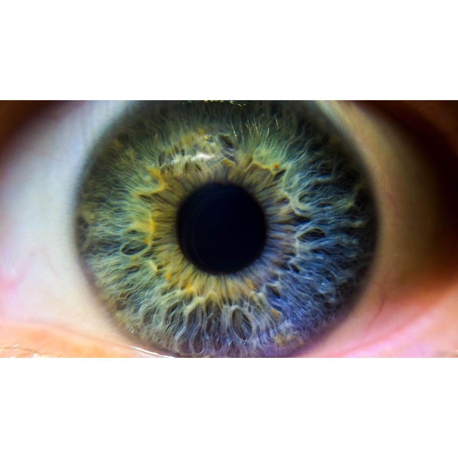 Lente de Acercamiento Olympus E-PL5 10x Macro 46mm