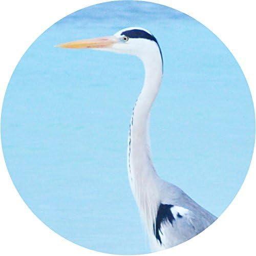 Monocular Kenko 7x18 Compacto con Funda y Correa