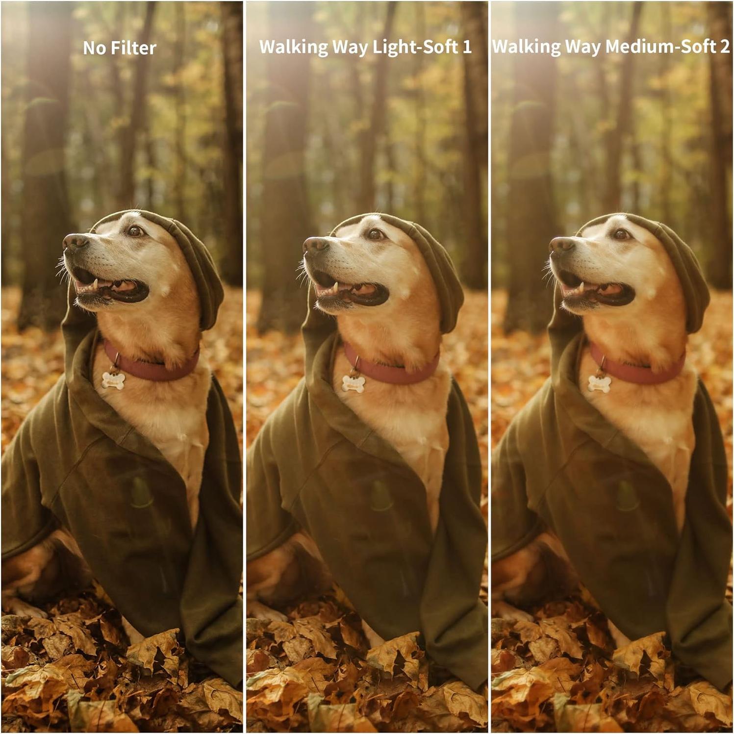 Filtro de Difusión Niebla Blanca 77MM Walking Way 2pcs Suave 1 y 2