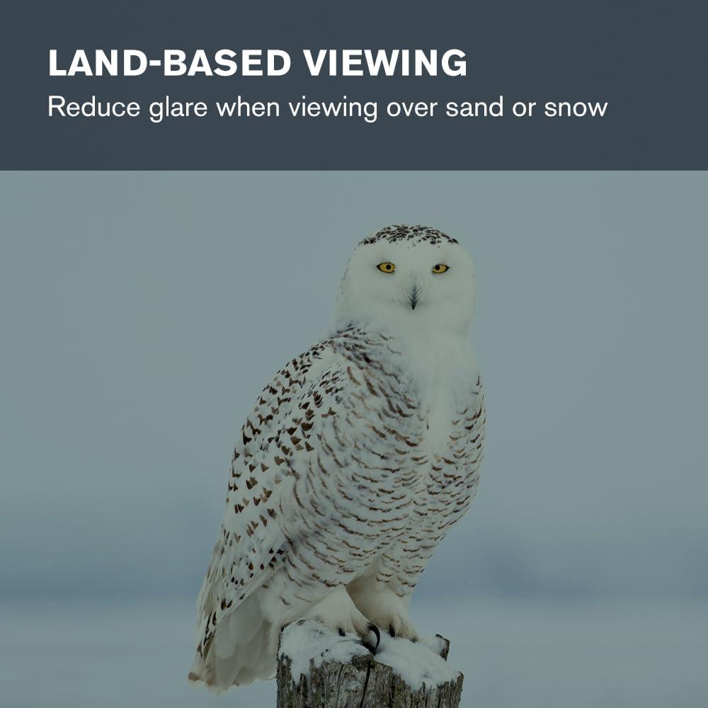 Filtro Lunar Celestron 94119-A 1.25" para Telescopios