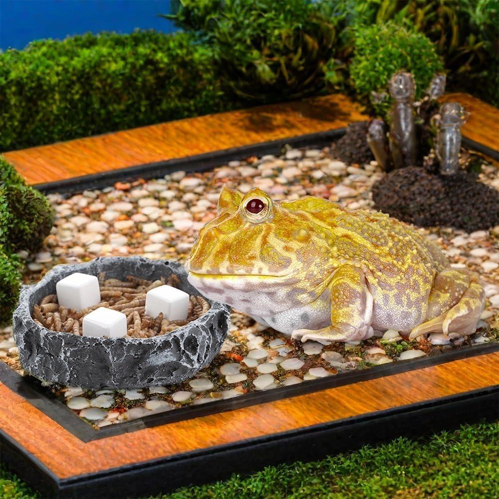 Piedra de Calcio Natural DQITJ 24 Pcs para Reptiles