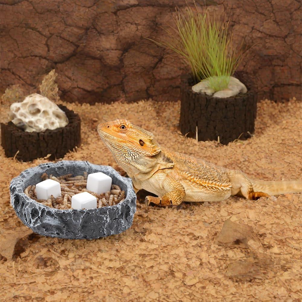 Piedra de Calcio Natural DQITJ 24 Pcs para Reptiles