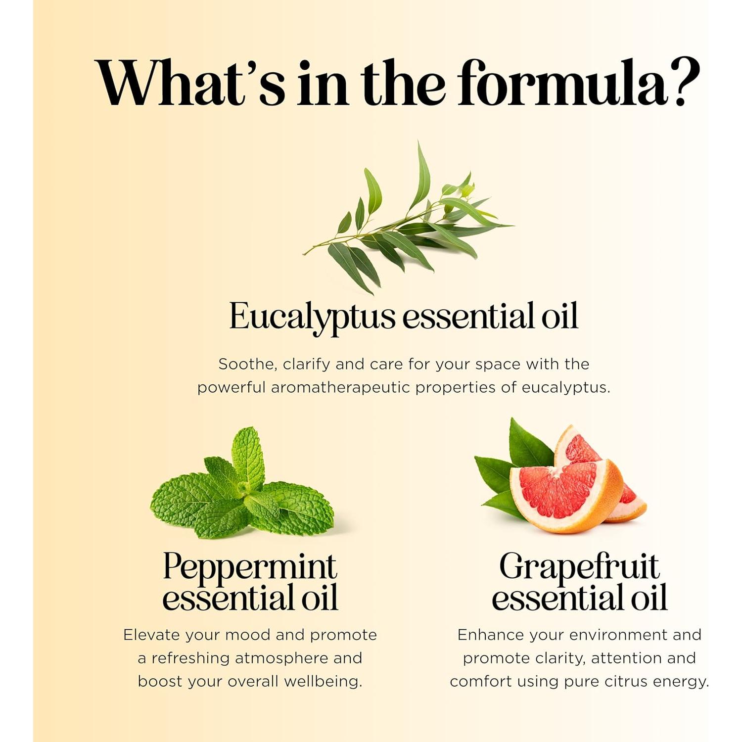 Roll On de Aceite Esencial Focus Maple Holistics - 9.86 ml x2