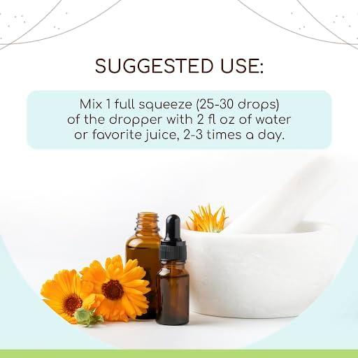 Tintura de Raíz de Agracejo HerbEra Orgánica 118 ml Sin Alcohol