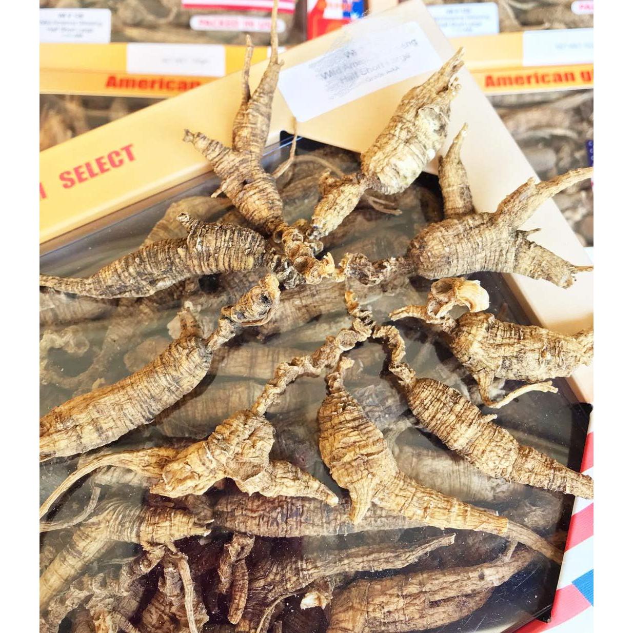 Raíz de Ginseng Americano 227g DABC EAGLE INC. Seleccionada