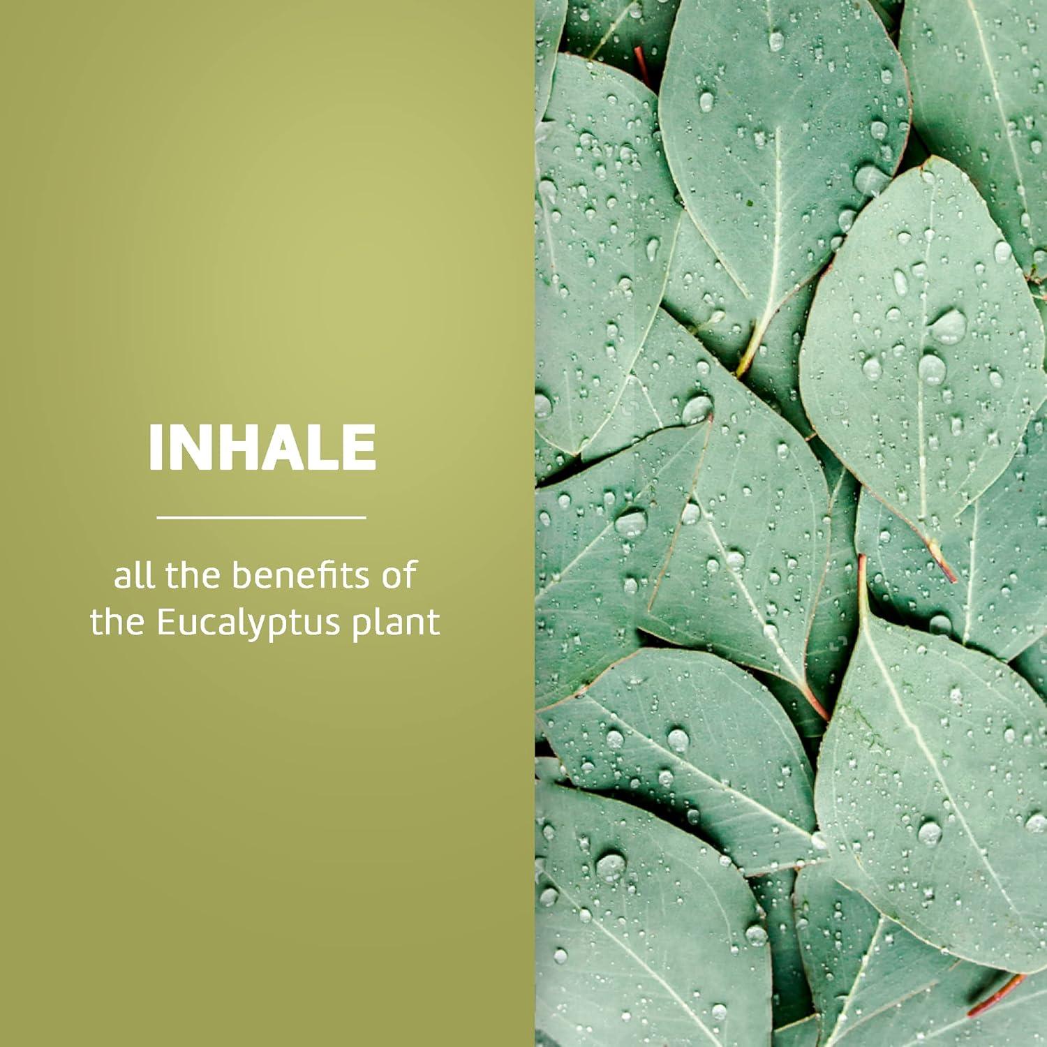 Aceite Esencial de Eucalipto De La Cruz 100% Puro 12x60ml