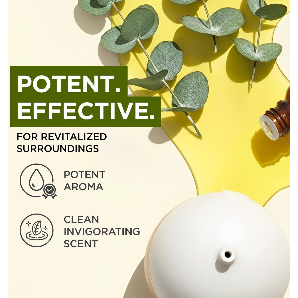 Aceite Esencial de Eucalipto Gya Labs 10 ml - Aromaterapia y Cuidado de la Piel