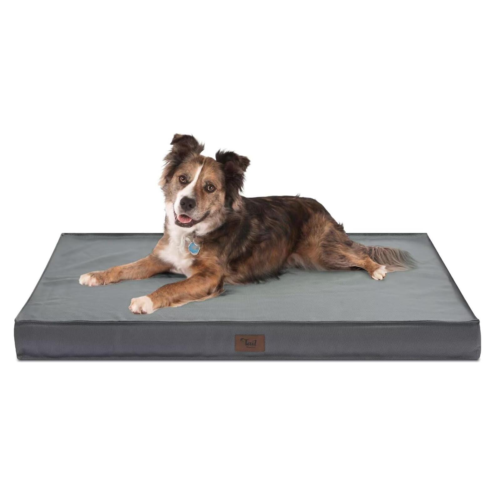 Cama ortopédica para perros grandes Tail Stories 91x68cm gris