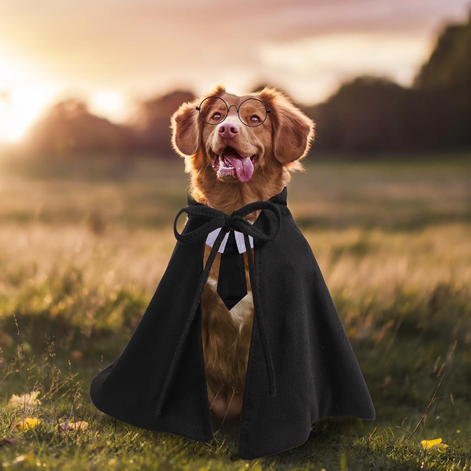 Disfraz de Capa para Mascotas SAVITA Halloween M Negro Verde