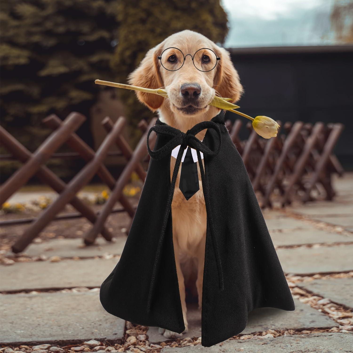 Disfraz de Capa para Mascotas SAVITA Halloween M Negro Verde