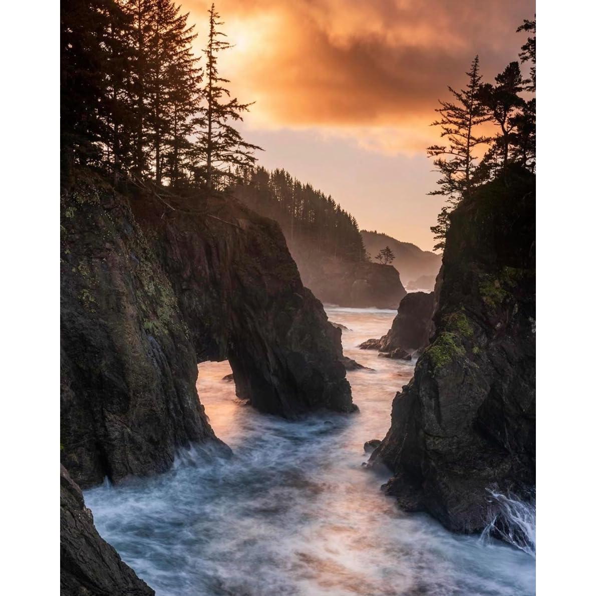 Filtro de Densidad Neutra Variable Tiffen 52mm 2-8 paradas