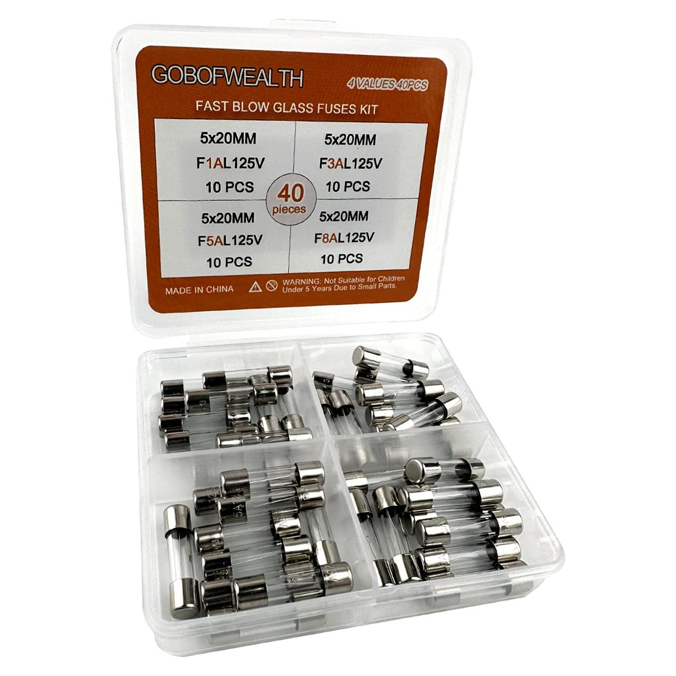 Kit de Fusibles de Vidrio GOBOFWEALTH 5x20mm 40PCS 125V