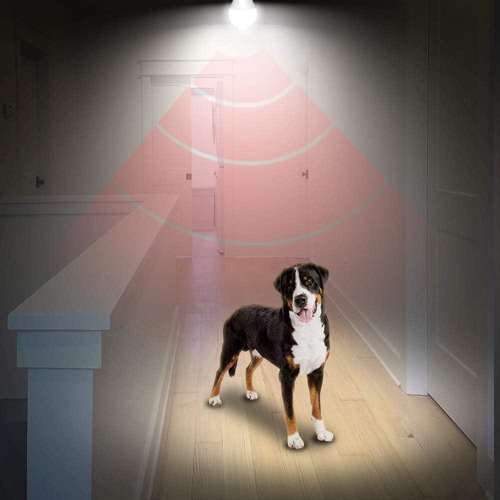 Bombilla LED AmeriTop A19 con Sensor de Movimiento 10W 806lm