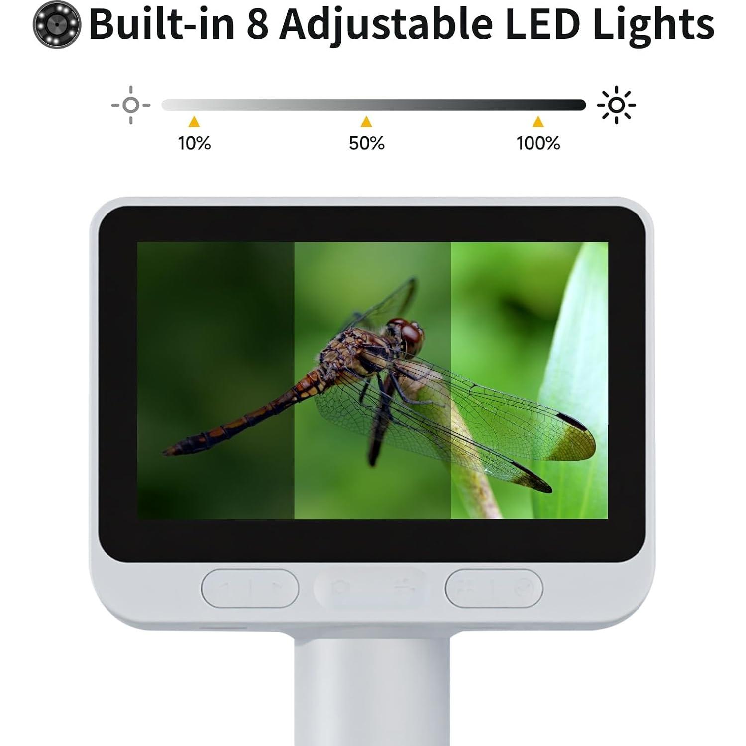 Microscopio Digital Infantil BeaverLab M2C 100X-1600X IPS