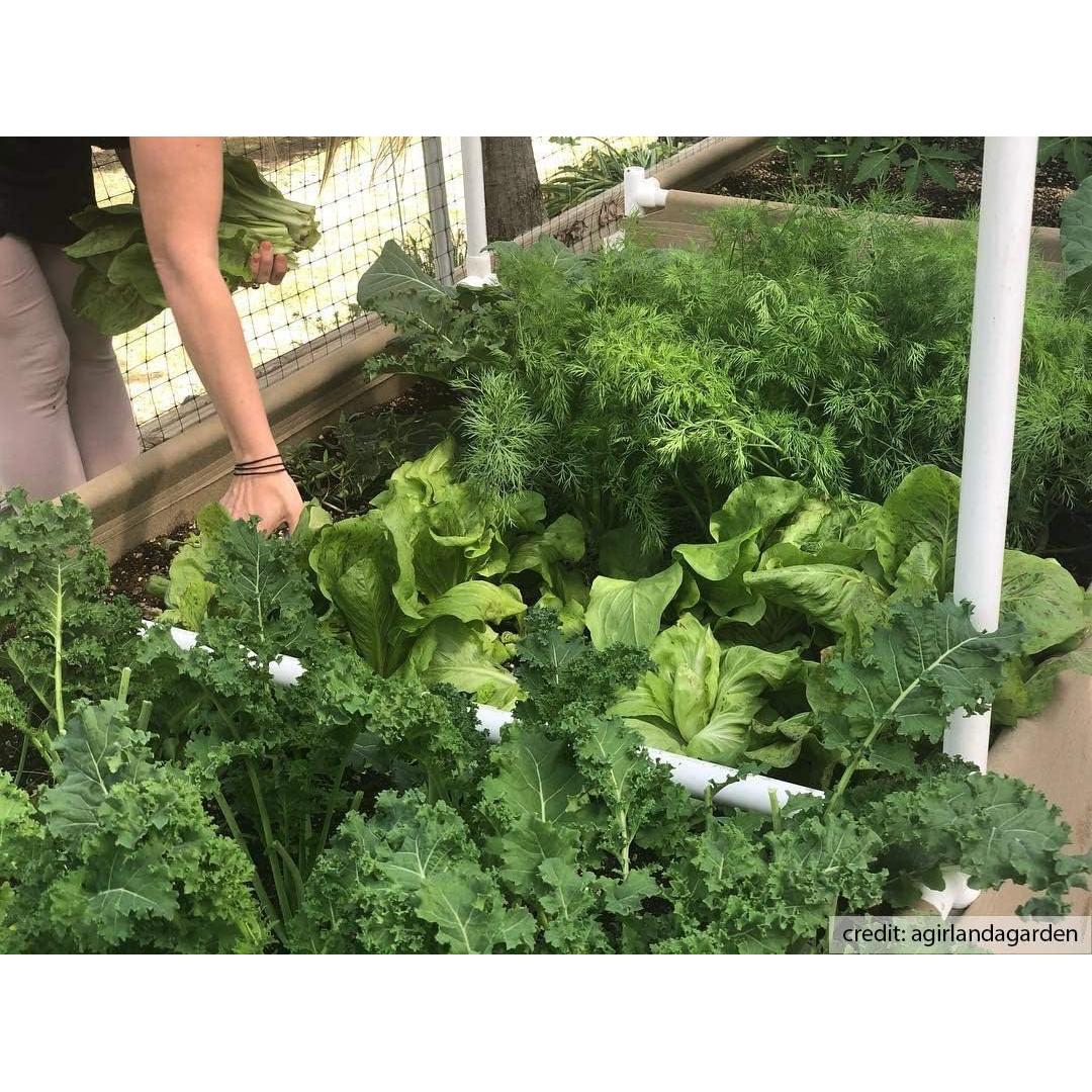 Cama Elevada de Jardín Grassroots 4x8 PVC Retenedor de Humedad