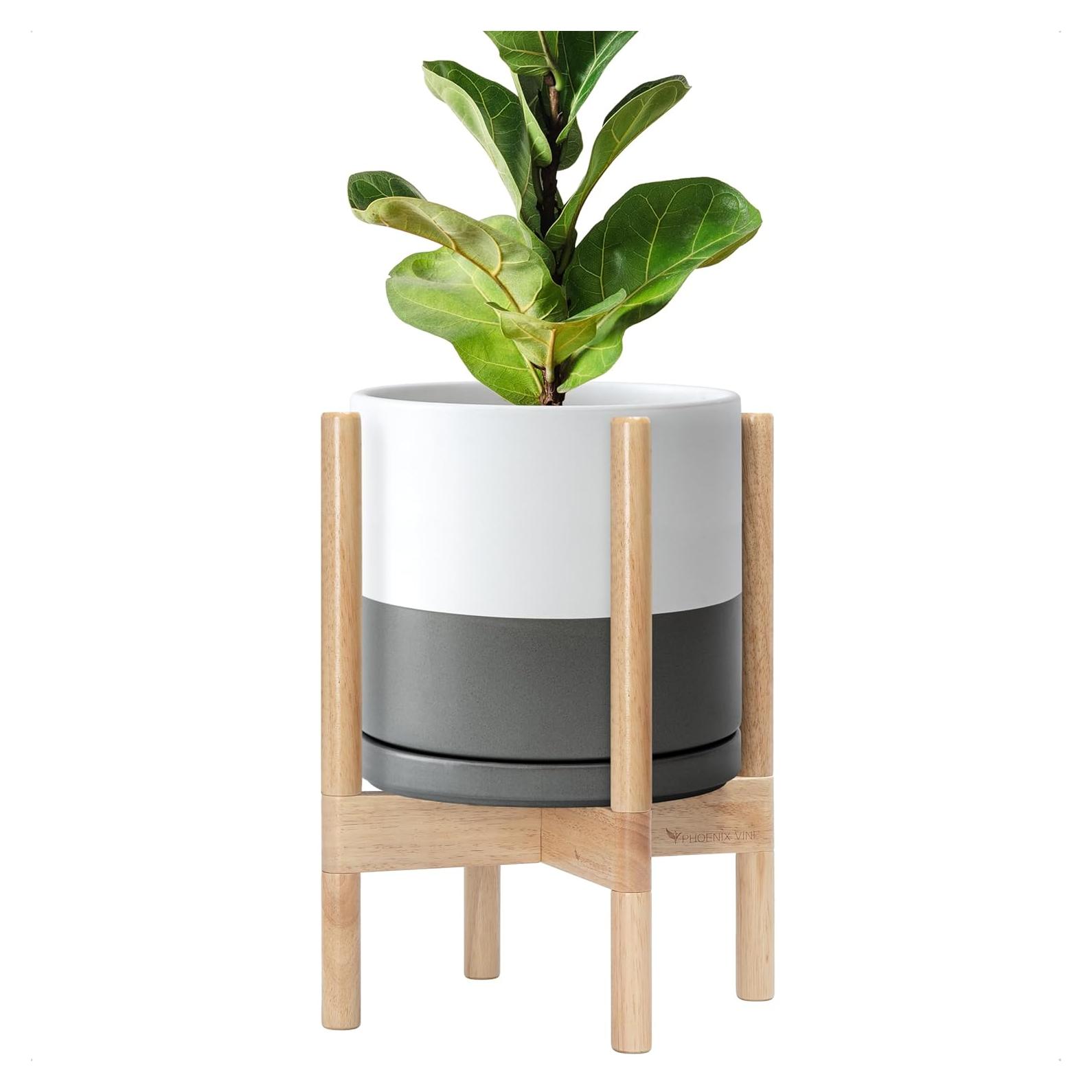 Maceta de Cerámica D'vine Dev 25.4 cm con Soporte Natural