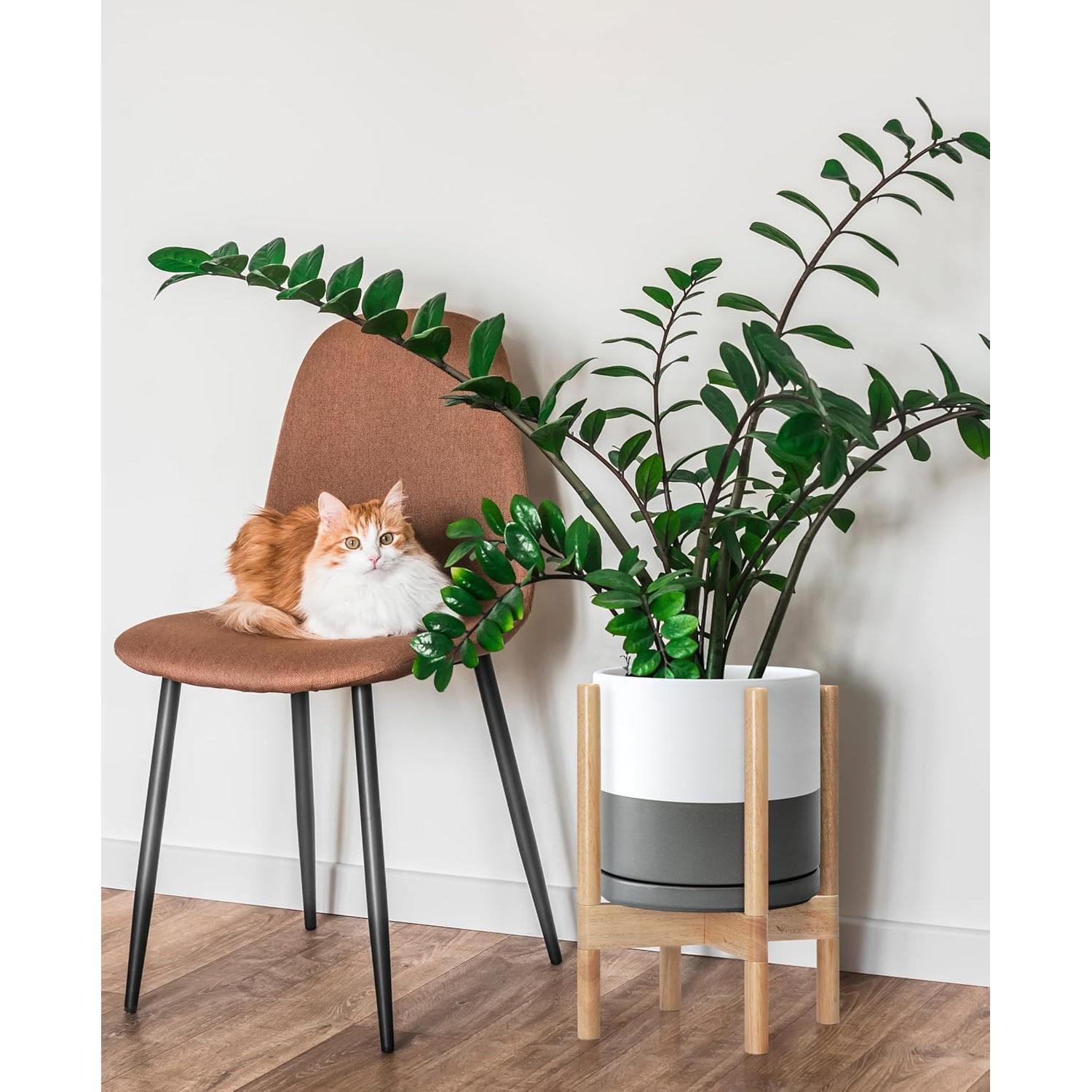 Maceta de Cerámica D'vine Dev 25.4 cm con Soporte Natural