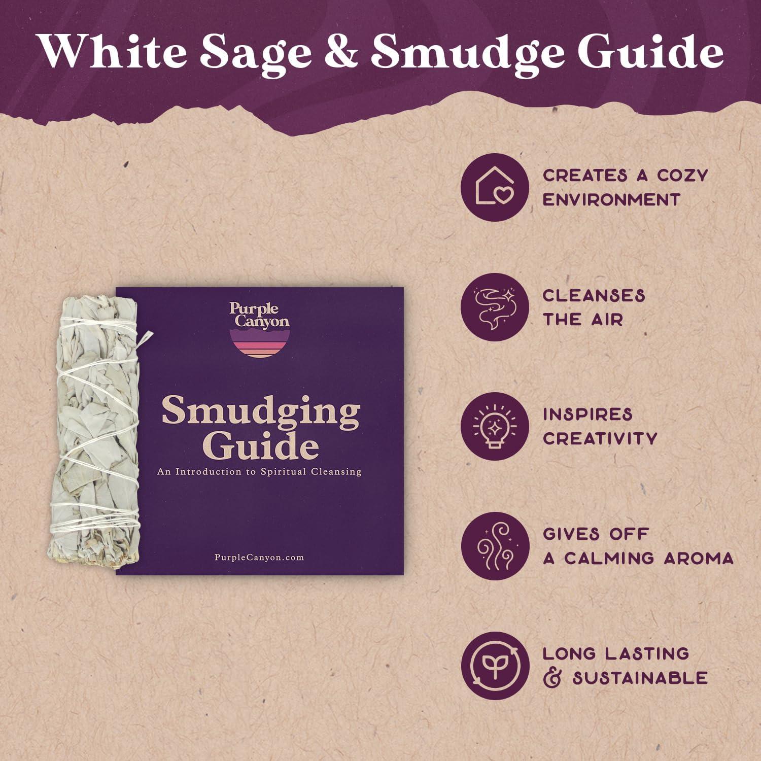 Paquete de Salvia Blanca PURPLE CANYON - 10 cm - Limpieza Espiritual