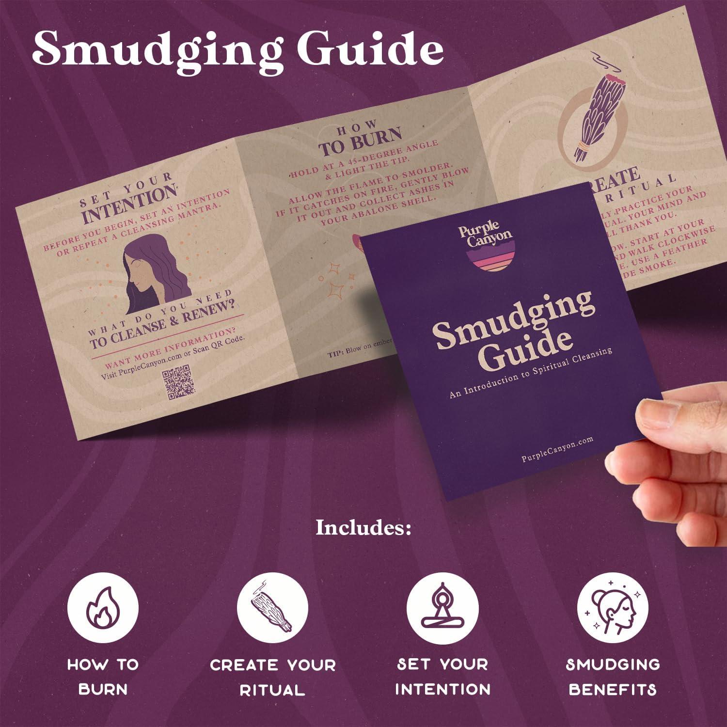 Paquete de Salvia Blanca PURPLE CANYON - 10 cm - Limpieza Espiritual