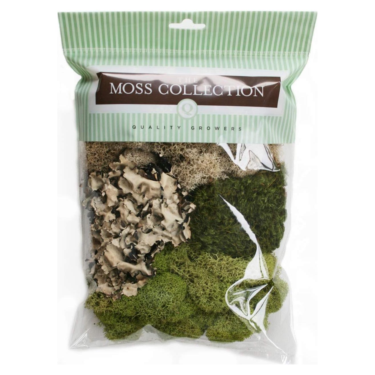 Paquete de Variedad de Musgo Quality Growers - Natural y Decorativo