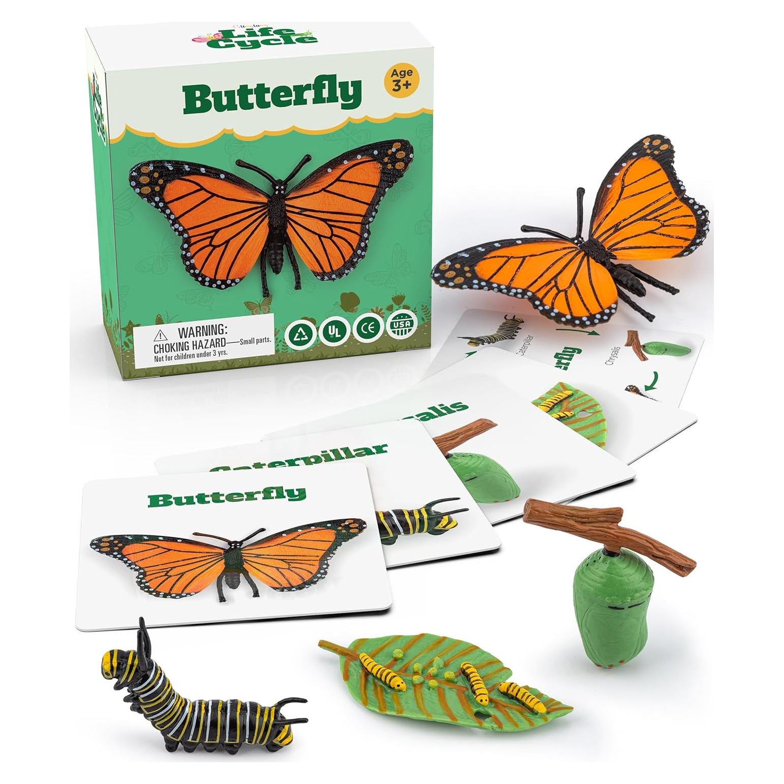 Kit Ciclo de Vida Montessori GLINGLONG - Juguete Educativo