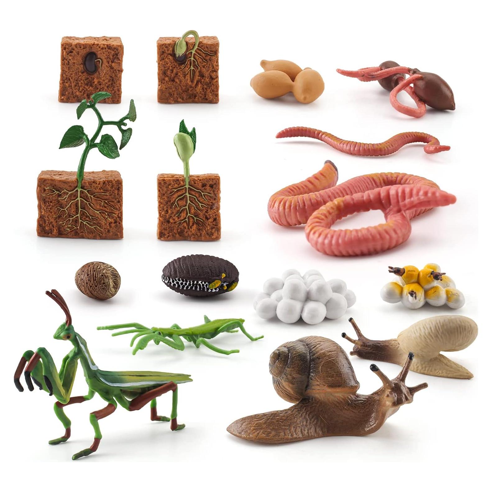 Set Educativo de Animales de Granja WONWONTOYS Ciclo de Crecimiento