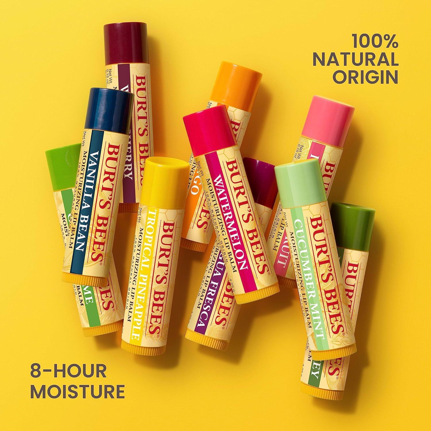 Bálsamo Labial Burt's Bees Pack 4 Tubos 4.25g Sabores Naturales