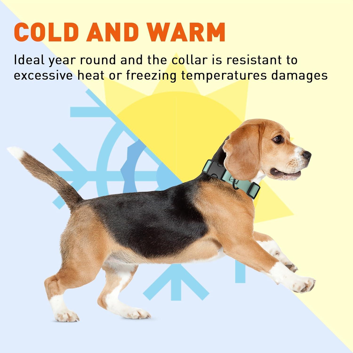 Collar de Perro Impermeable Dogline Biothane 1.59 cm Verde