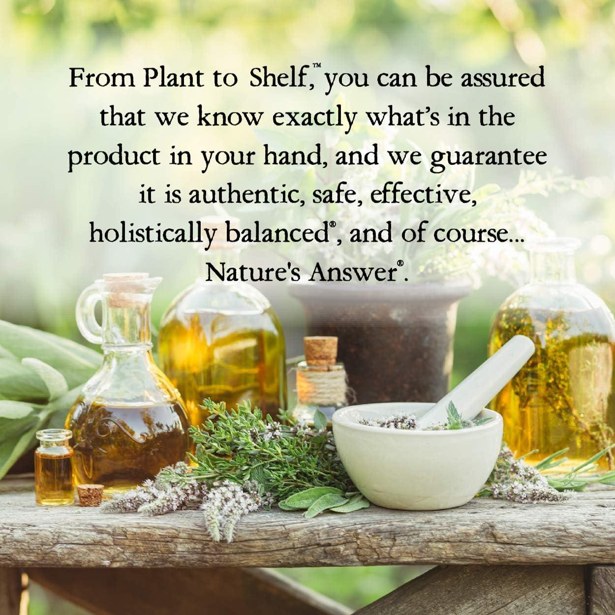 Extracto de Raíz de Bardana Nature's Answer 60ml Bajo Alcohol