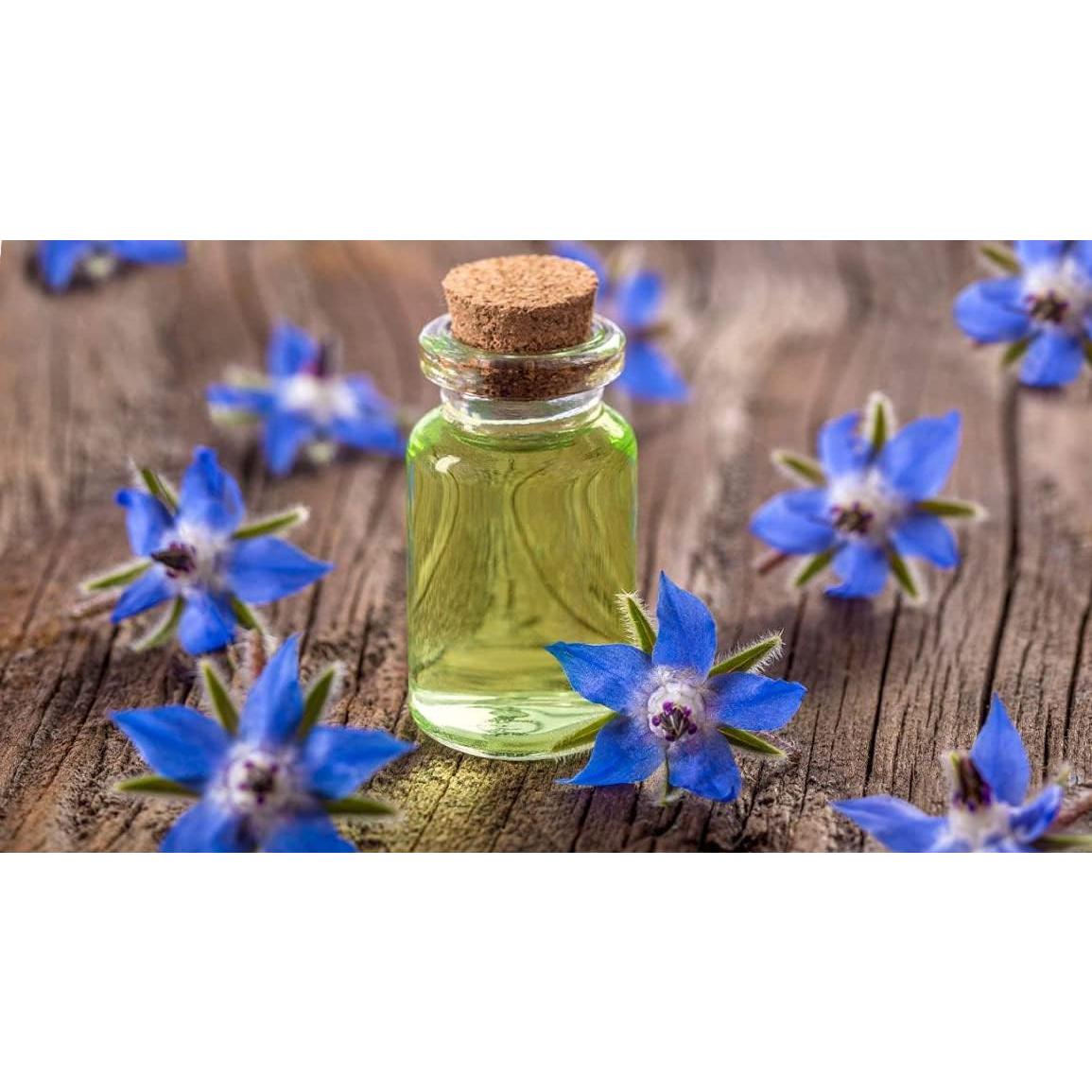 Aceite de Semilla de Borraja Dr Joe Lab 240 ml Prensado en Frío