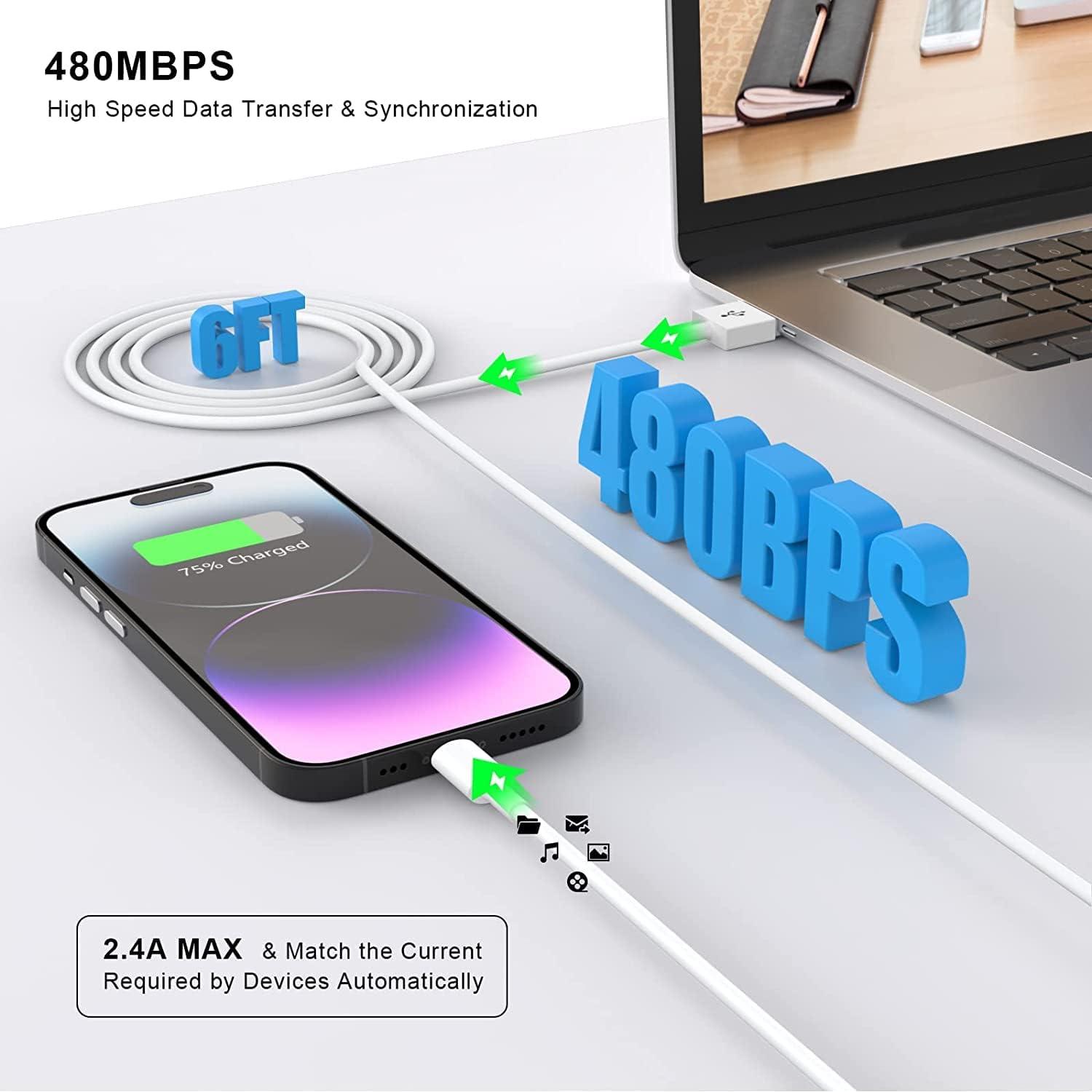 Cargador iPhone esbeecables 2Pack 6FT Carga Rápida USB