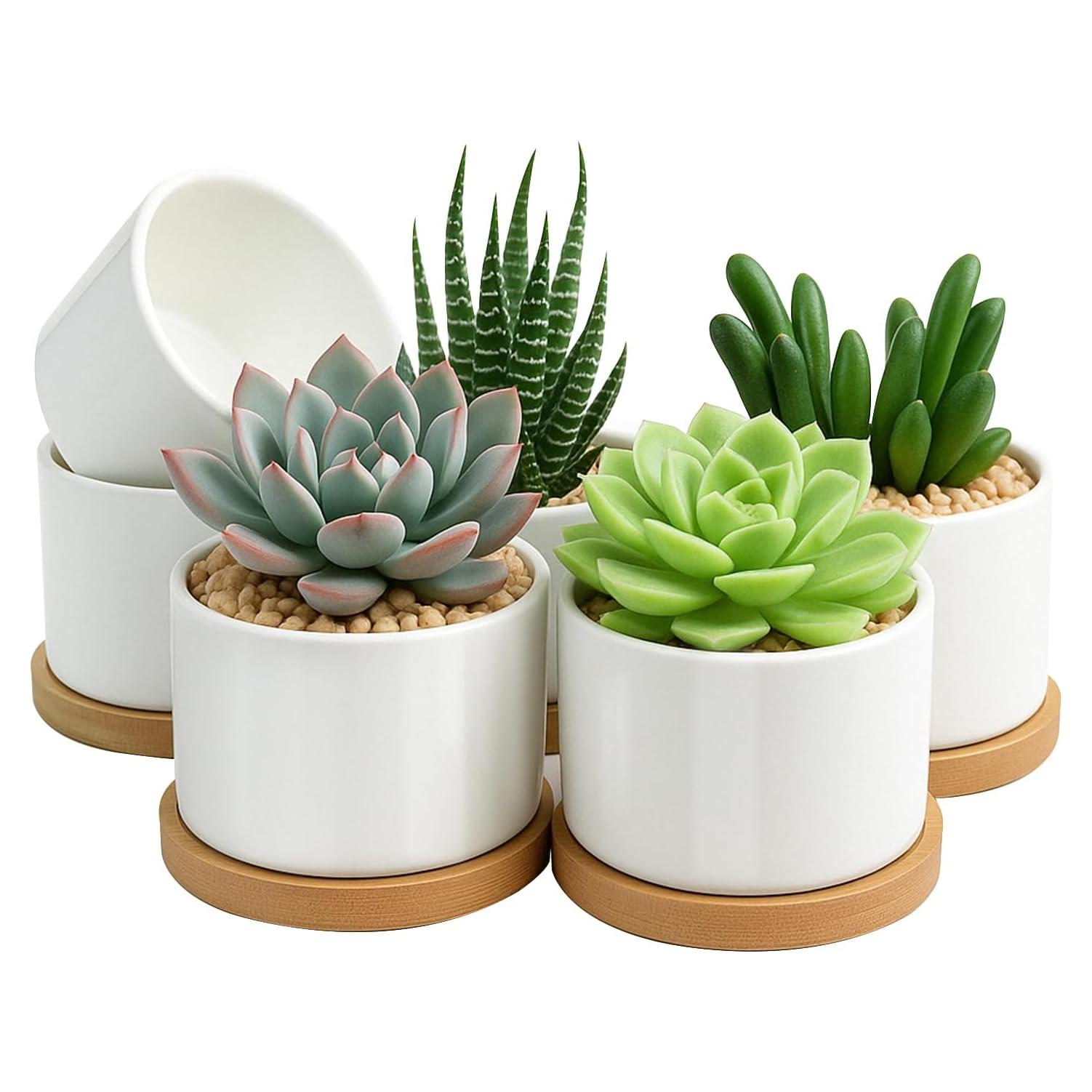 Macetas Suculentas ZOUTOG 8 cm Cerámica Blanca con Drenaje - 6 Piezas