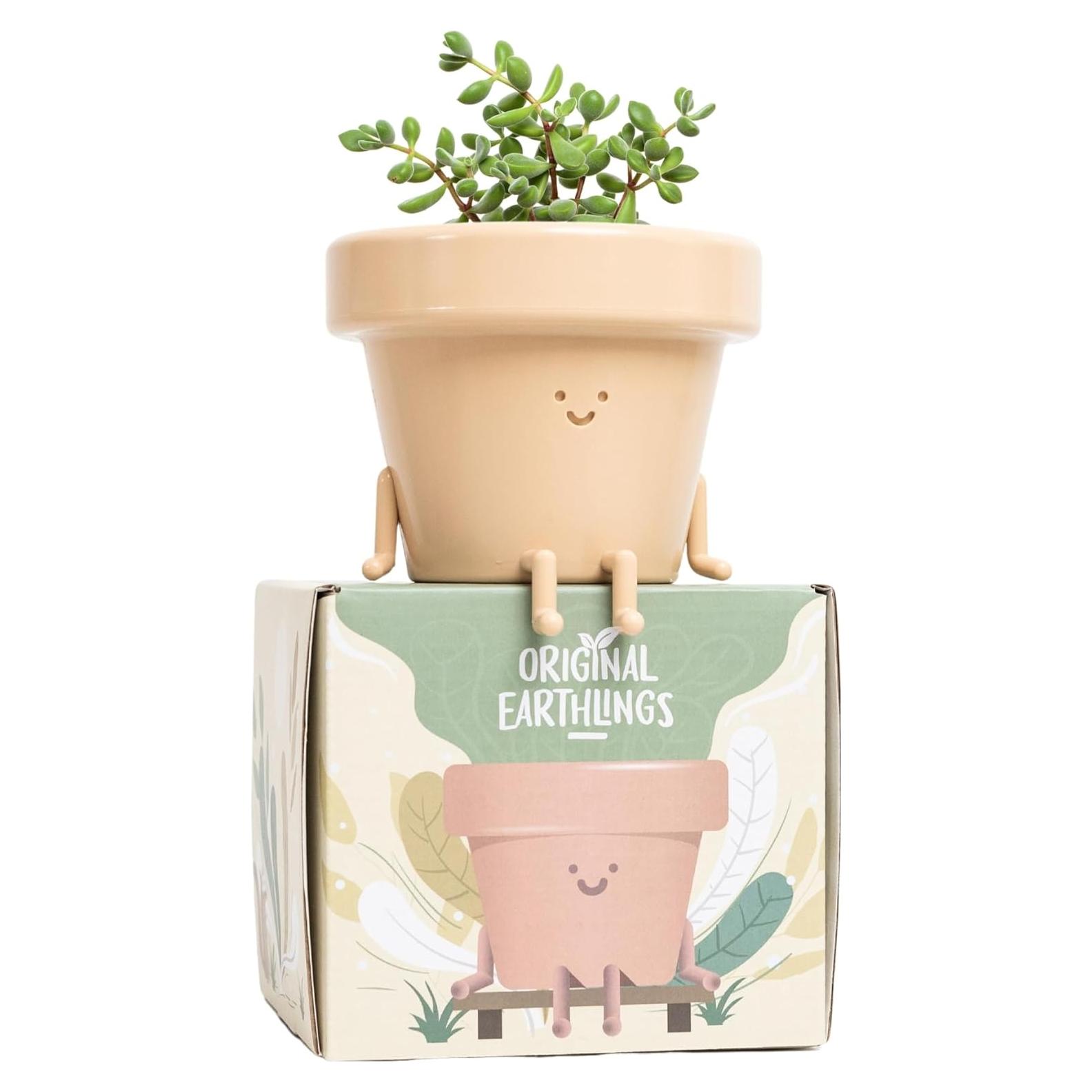 Maceta Sentada Original Earthlings 8.89 cm Beige con Drenaje