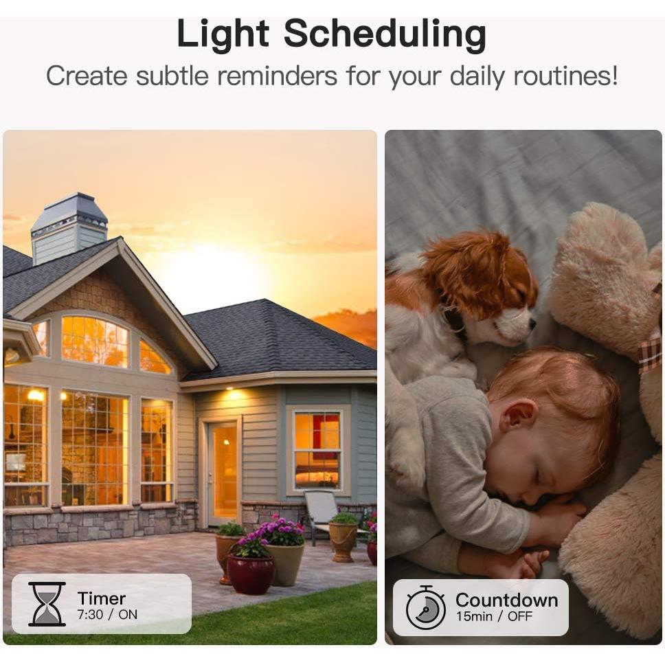 Interruptor de Luz Inteligente TREATLIFE Wi-Fi 1250W